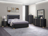 Marceline Beds 5