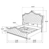 Antonella Beds