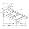 Kendall Panel Bed E.King, & Queen Black & White