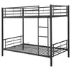Hayward Bunk Beds