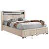 Madison Full & Twin Bed