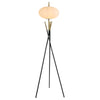Layton Floor Lamps