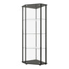 Zenobia Glass Shelf Curio Cabinet Clear and Black