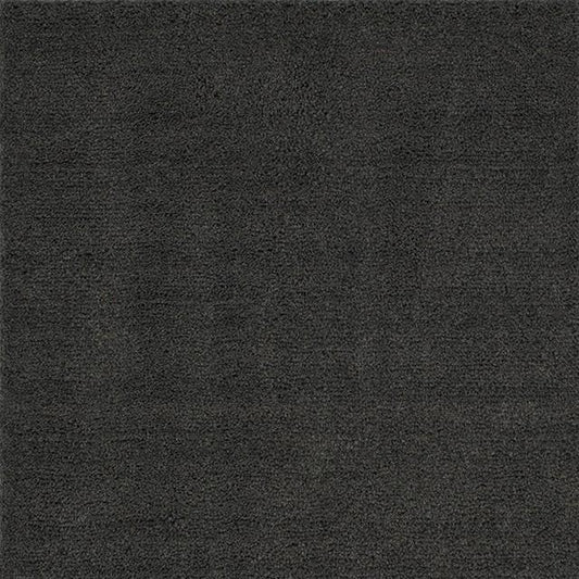 Camara Area Rug