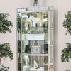 Chouteau Curio Cabinet