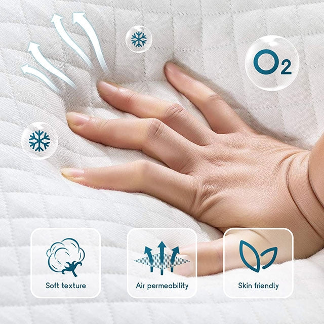 Artemisia 6" Queen Memory Foam Mattress