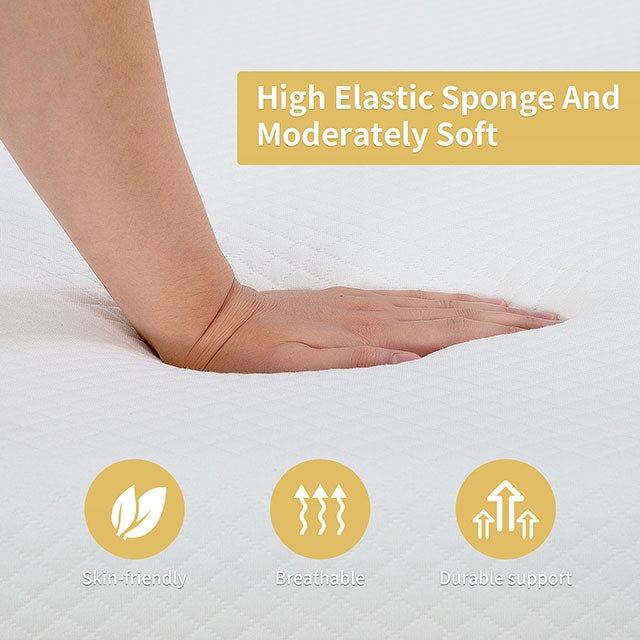 Artemisia 8" Twin Memory Foam Mattress