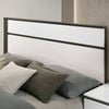 Birsfelden Bed